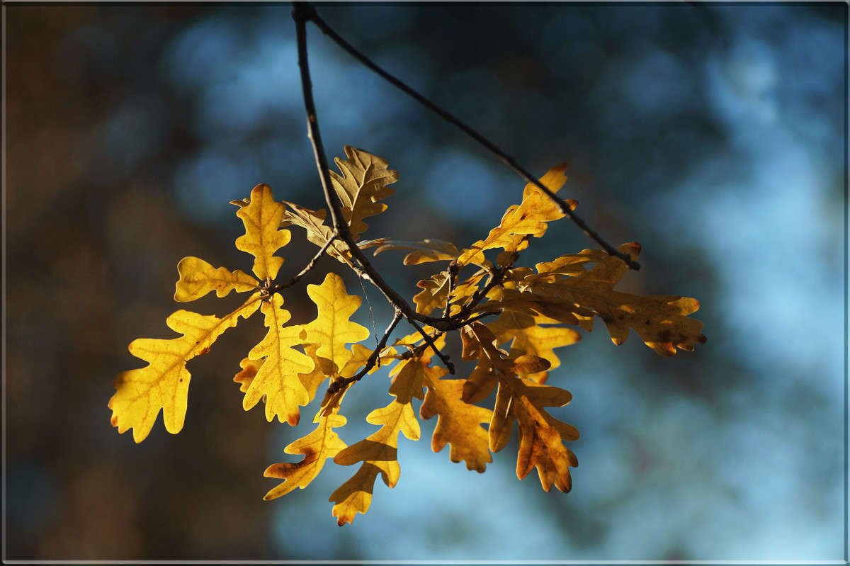 � "����������" ����� ������  �� PhotoGeek.ru #������ ��� �������