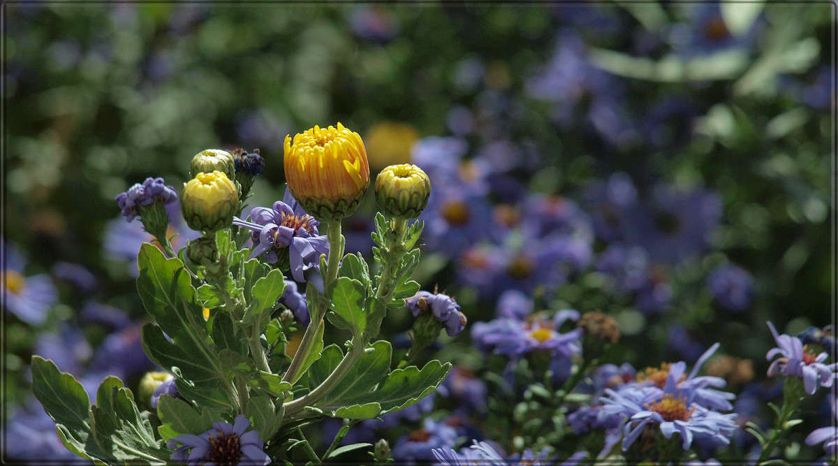 "���������" ����� ������  �� PhotoGeek.ru #������ ��� �������