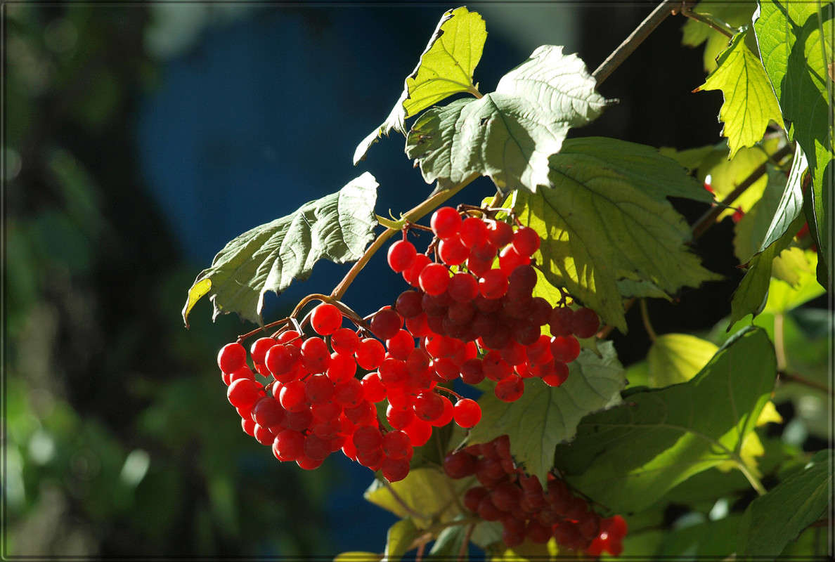 "������-�����" ����� ������  �� PhotoGeek.ru #������ ��� �������