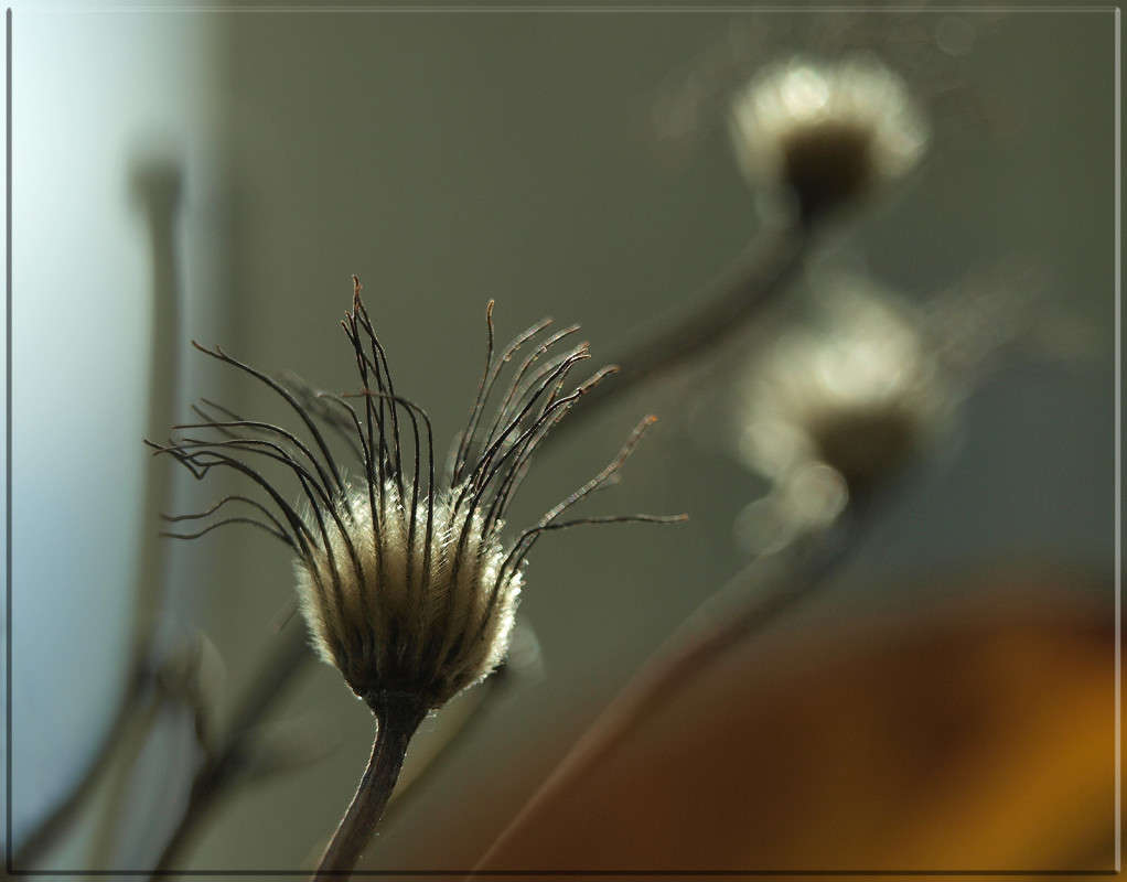 ������ �������� ����� ������  �� PhotoGeek.ru #������ ��� �������