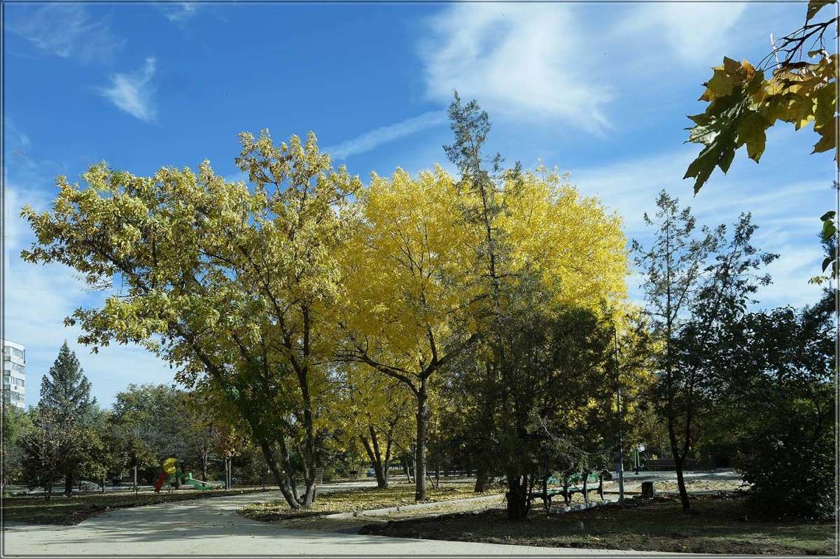 "����� � ������ ������ 9" ����� ������  �� PhotoGeek.ru #������ ��� �������