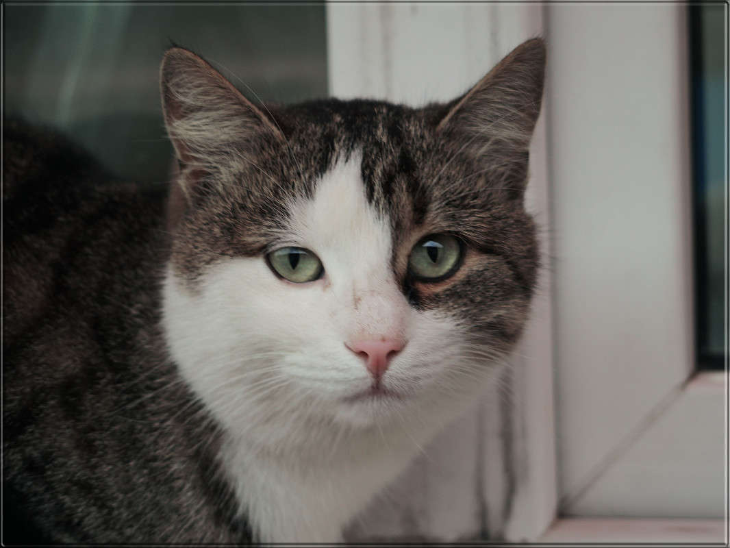 � ������ "30 �������" ����� ������  �� PhotoGeek.ru #�������� ���