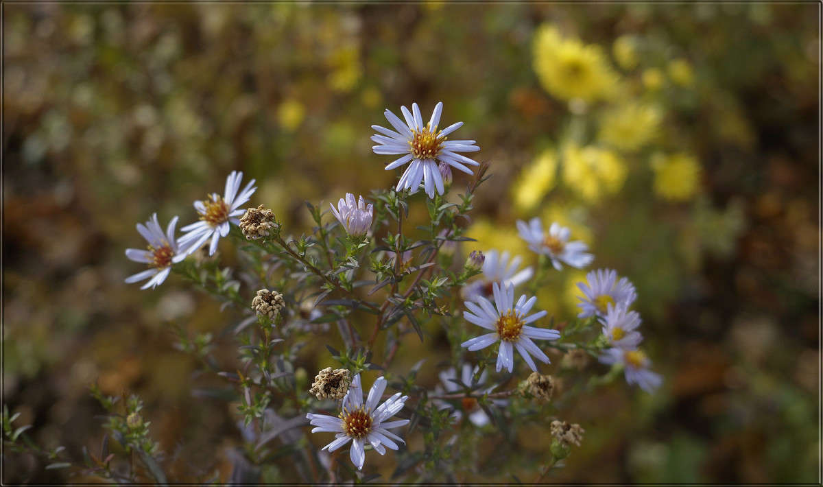 31 ������� ����� ������  �� PhotoGeek.ru #������ ��� �������