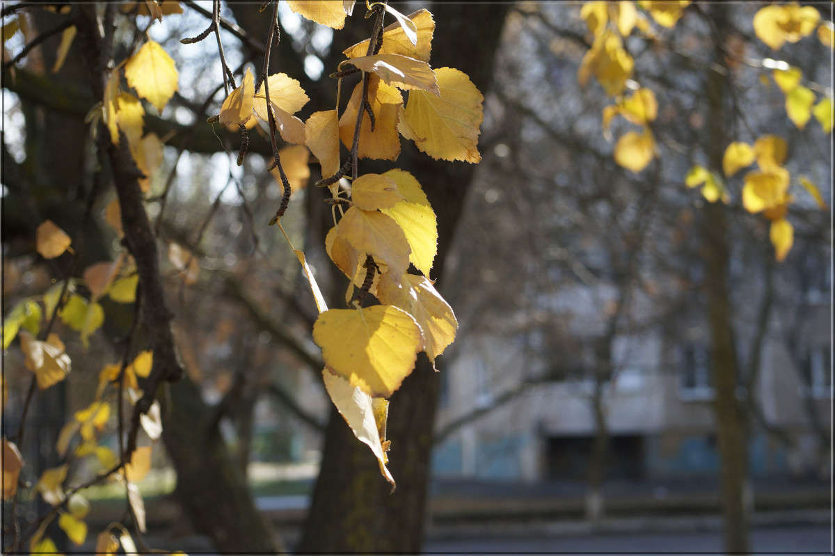 "31 ������� 2" ����� ������  �� PhotoGeek.ru #������ ��� �������