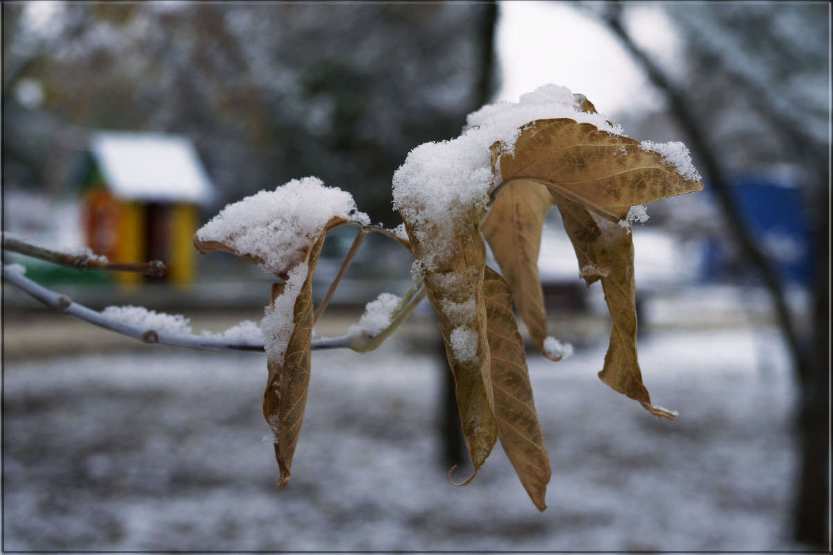 "2 ������ 2" ����� ������  �� PhotoGeek.ru #������ ��� �������