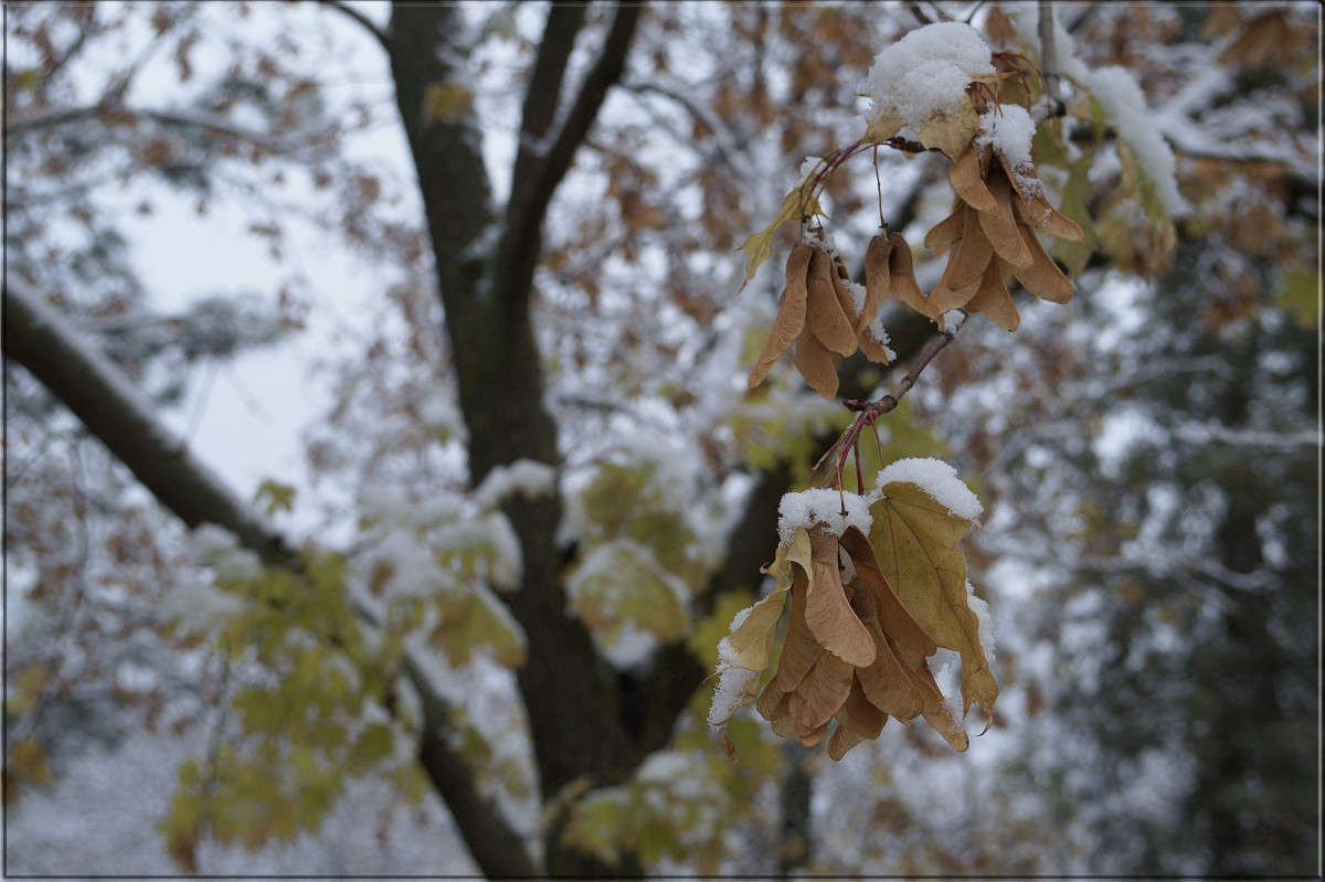 "2 ������" ����� ������  �� PhotoGeek.ru #������ ��� �������