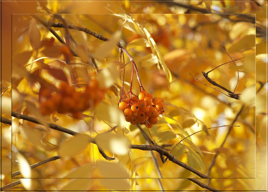 2 ������ 3 ����� ������  �� PhotoGeek.ru #������ ��� �������