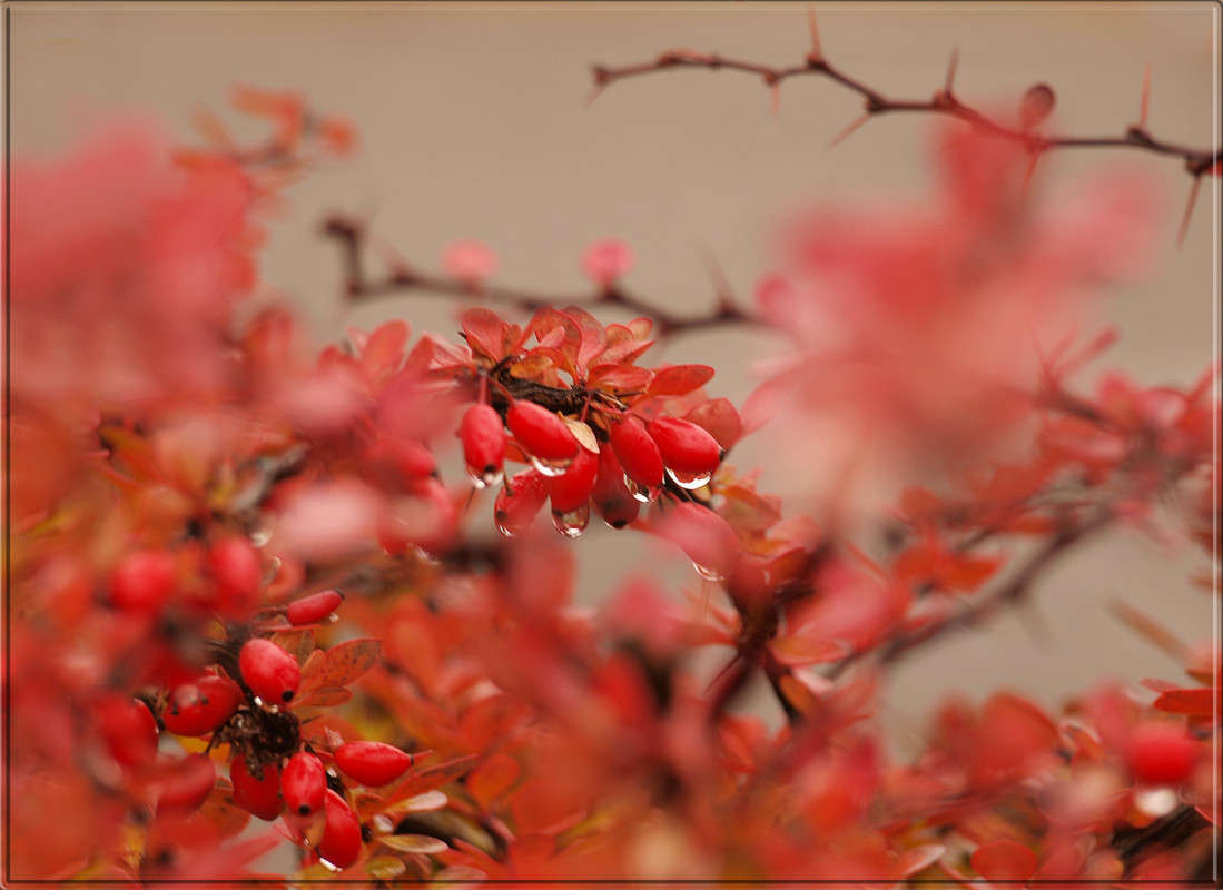 ������� �������� ����� ������  �� PhotoGeek.ru #������ ��� �������