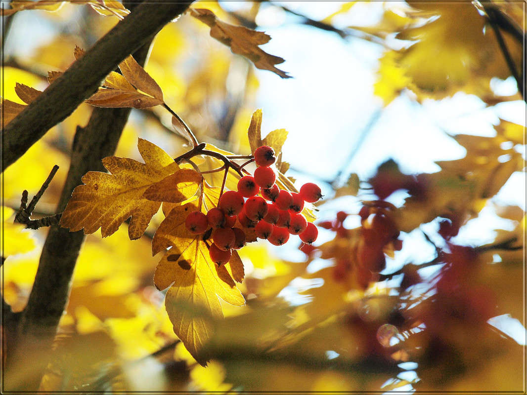 ����� ������������ ����� ������  �� PhotoGeek.ru #������ ��� �������