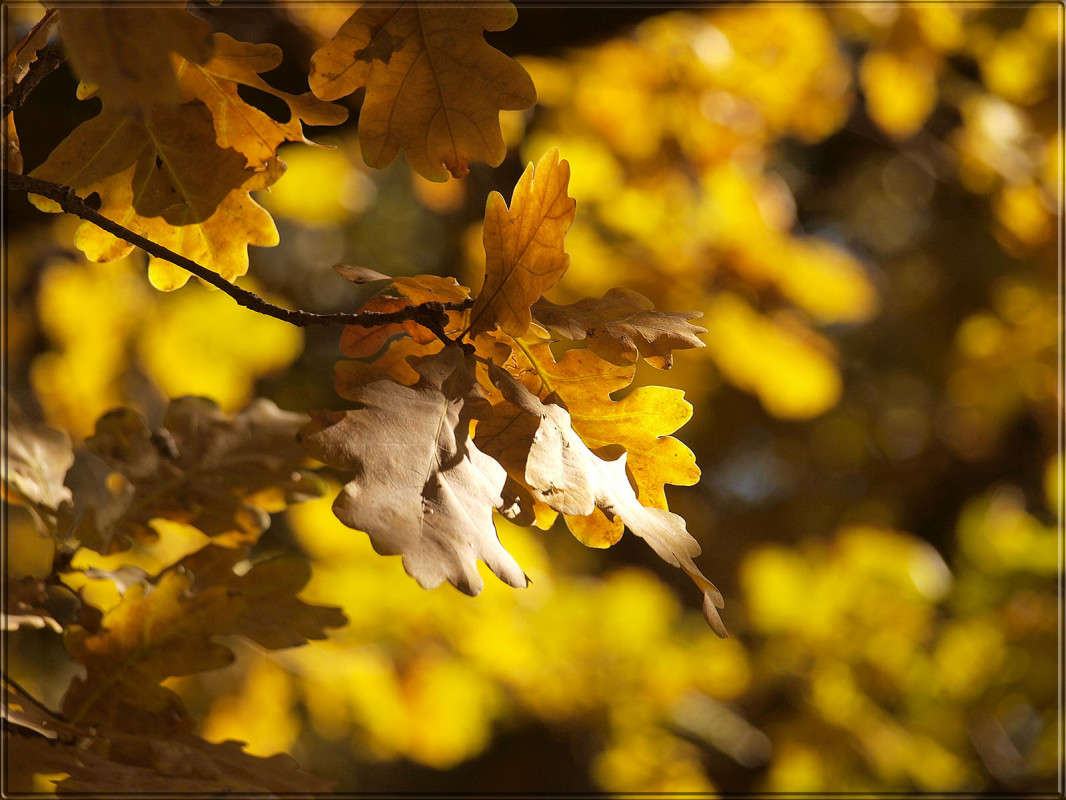 ����� ������������ 2 ����� ������  �� PhotoGeek.ru #������ ��� �������