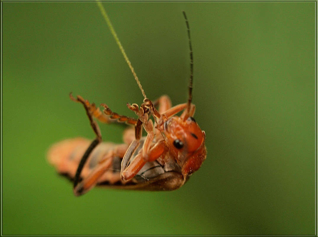 �� ������� �������� ����� ������  �� PhotoGeek.ru #�����