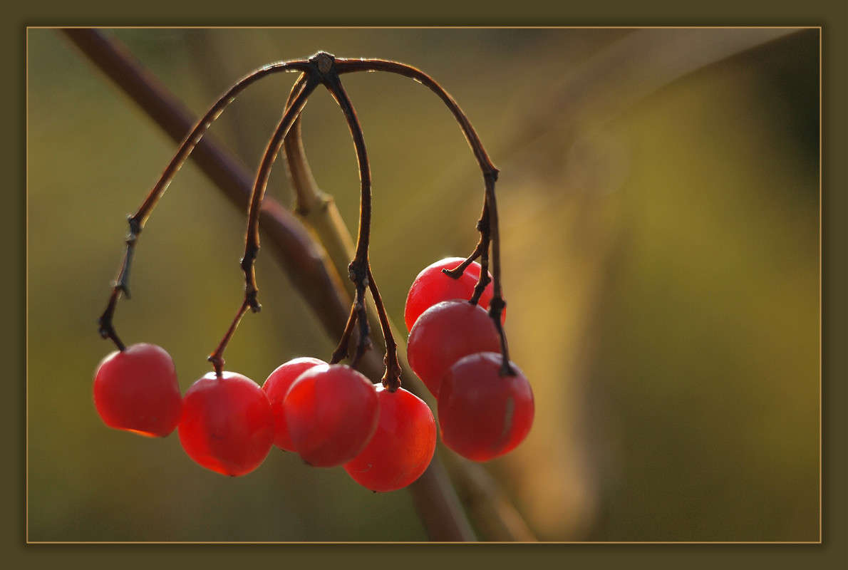 "8 ������" ����� ������  �� PhotoGeek.ru #������ ��� �������