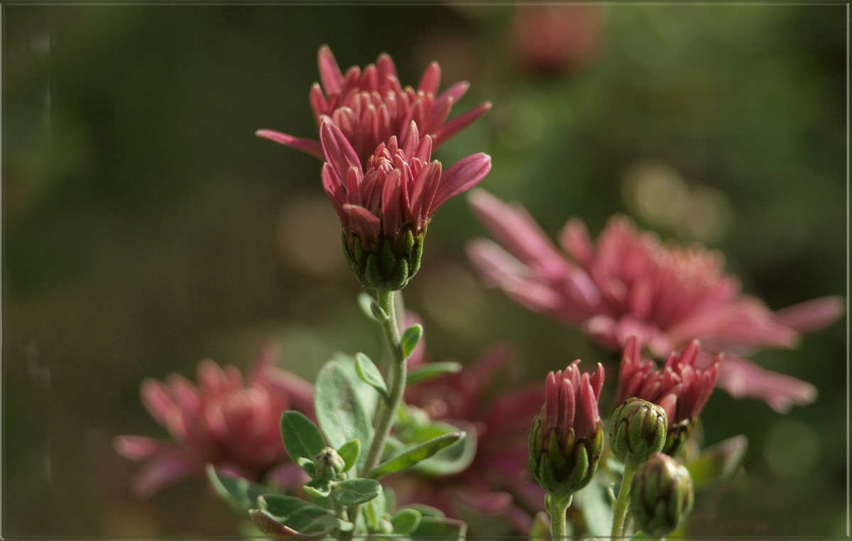 "����� �� 8 ������ 2" ����� ������  �� PhotoGeek.ru #������ ��� �������