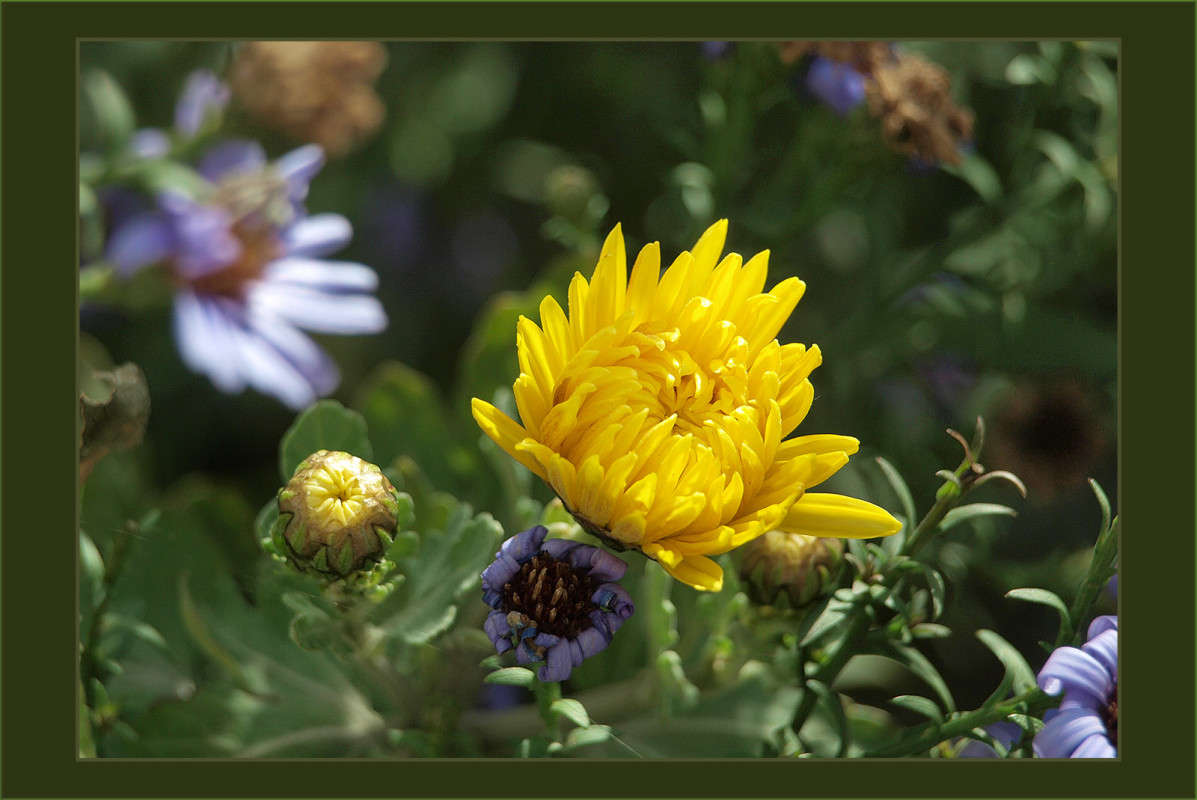 "����� �� 8 ������ 2" ����� ������  �� PhotoGeek.ru #������ ��� �������