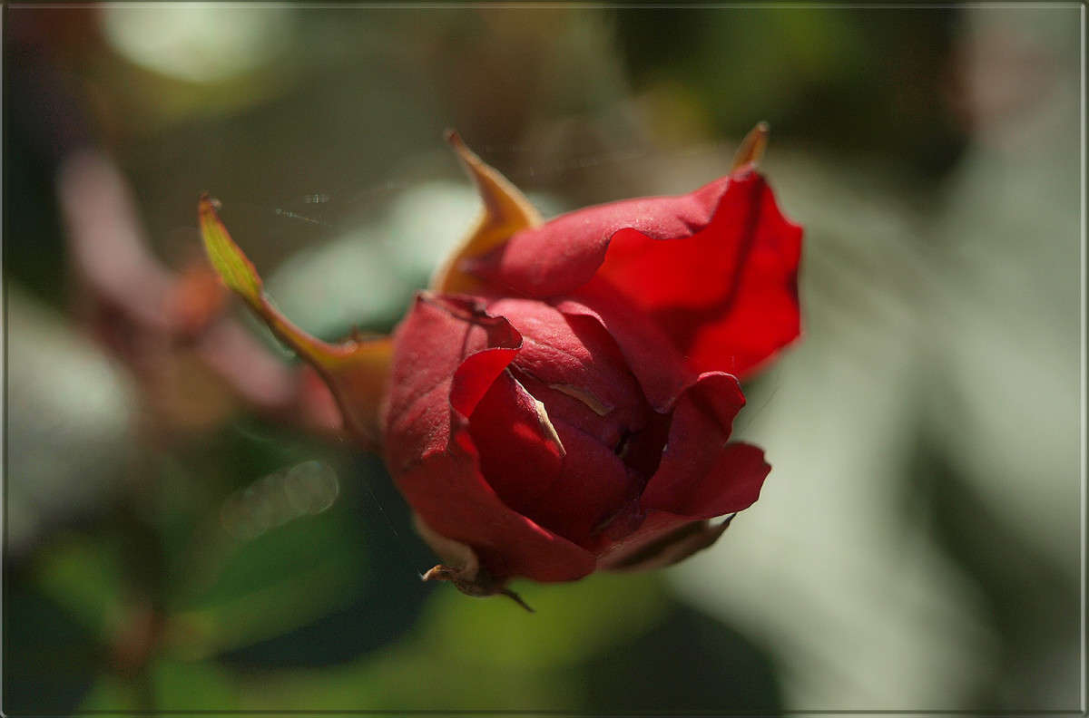 "������� �� 8 ������" ����� ������  �� PhotoGeek.ru #������ ��� �������