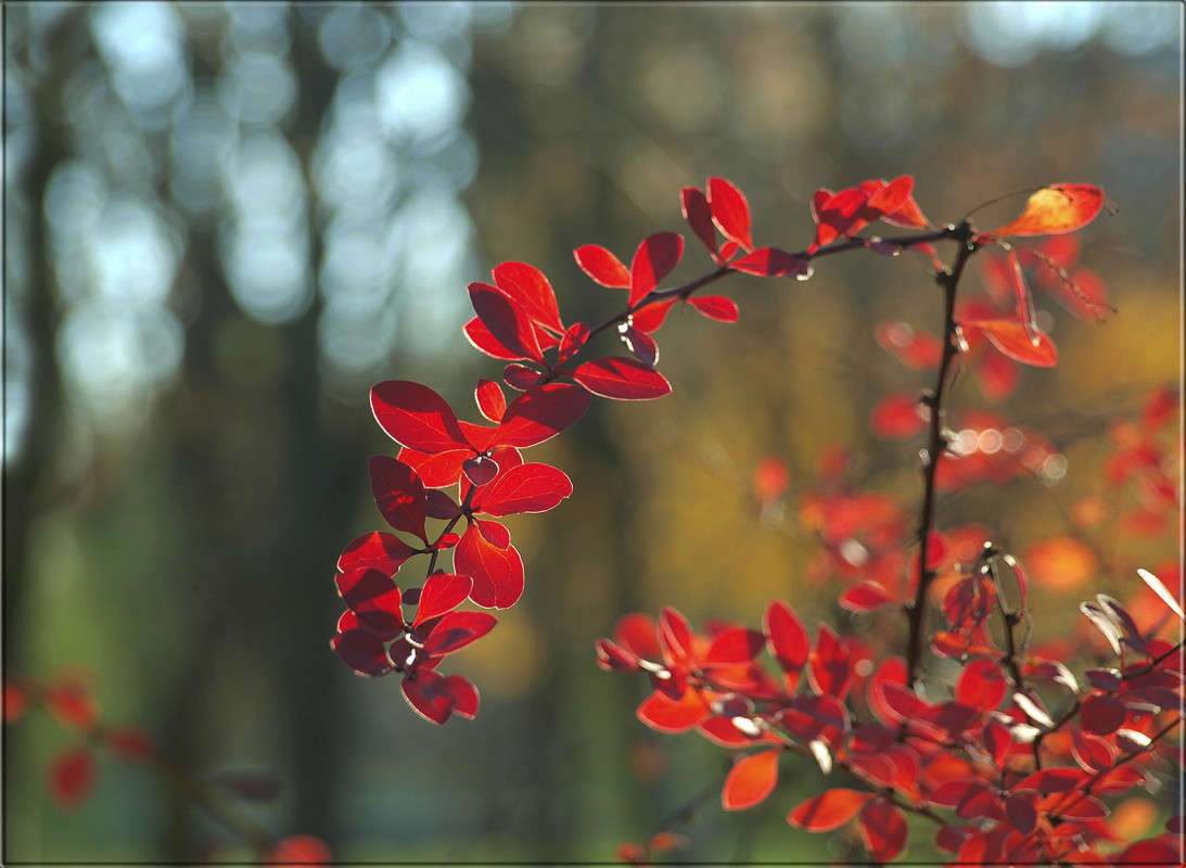 ��� ��� ����� 2 ����� ������  �� PhotoGeek.ru #������ ��� �������