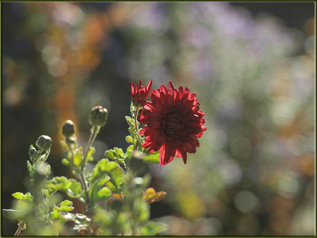 ��� ��� ����� 3 ����� ������  �� PhotoGeek.ru #������ ��� �������