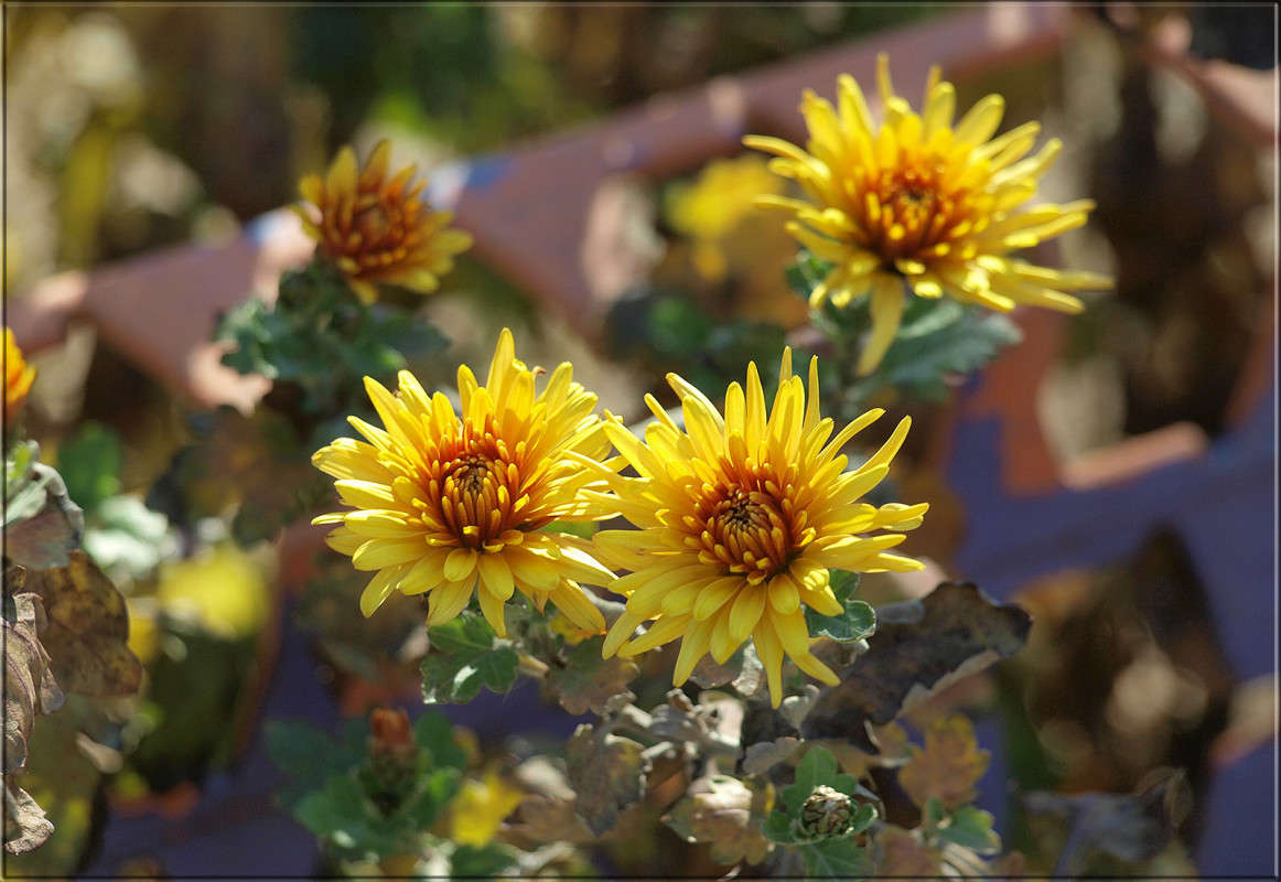 ��� ��� ����� ����� ������  �� PhotoGeek.ru #������ ��� �������