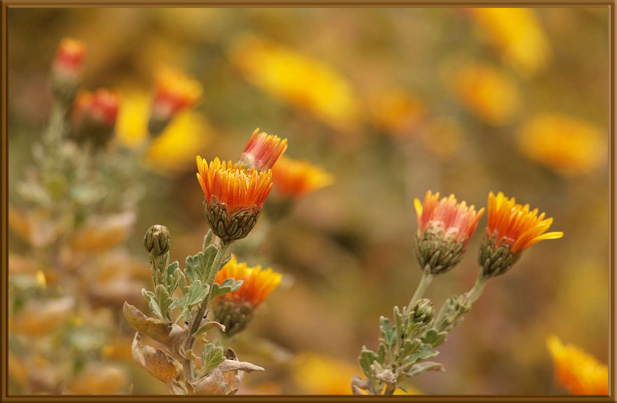 ��� ��� ����� 4 ����� ������  �� PhotoGeek.ru #������ ��� �������