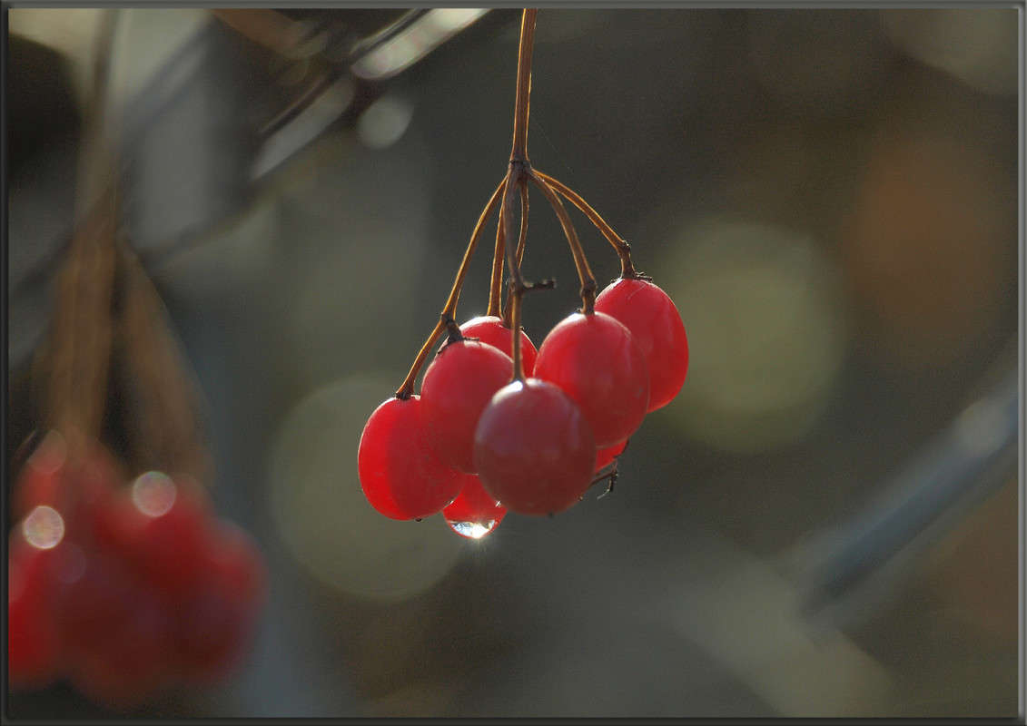 "��� ��� ����� 5" ����� ������  �� PhotoGeek.ru #������ ��� �������