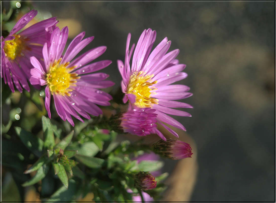 "��� ��� ����� 6" ����� ������  �� PhotoGeek.ru #������ ��� �������