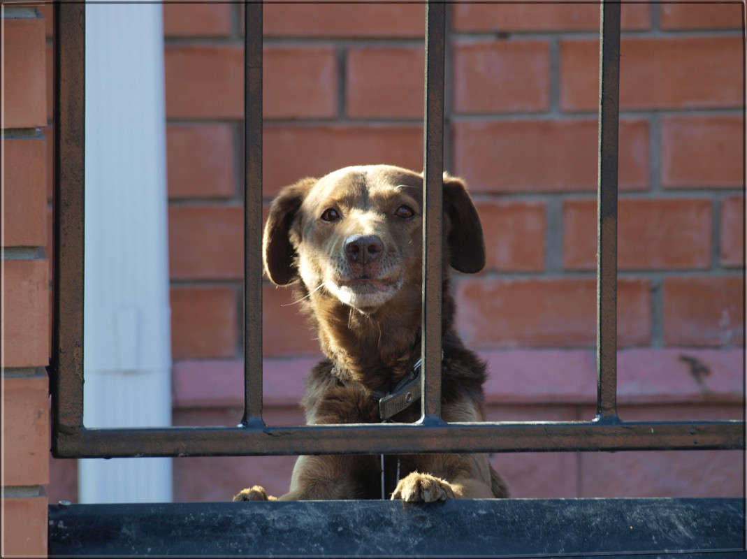 "�� ������" ����� ������  �� PhotoGeek.ru #�������� ���