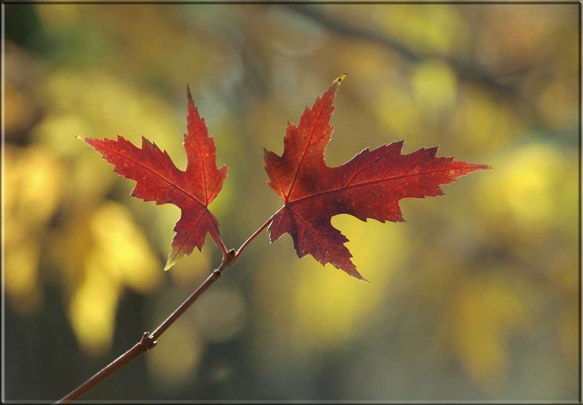 "��� ��� ����� 7" ����� ������  �� PhotoGeek.ru #������ ��� �������