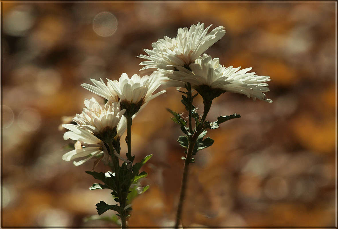 ��� ��� ����� 9 ����� ������  �� PhotoGeek.ru #������ ��� �������