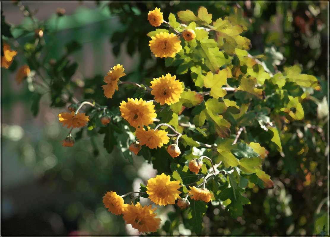 ��� ��� ����� 10 ����� ������  �� PhotoGeek.ru #������ ��� �������