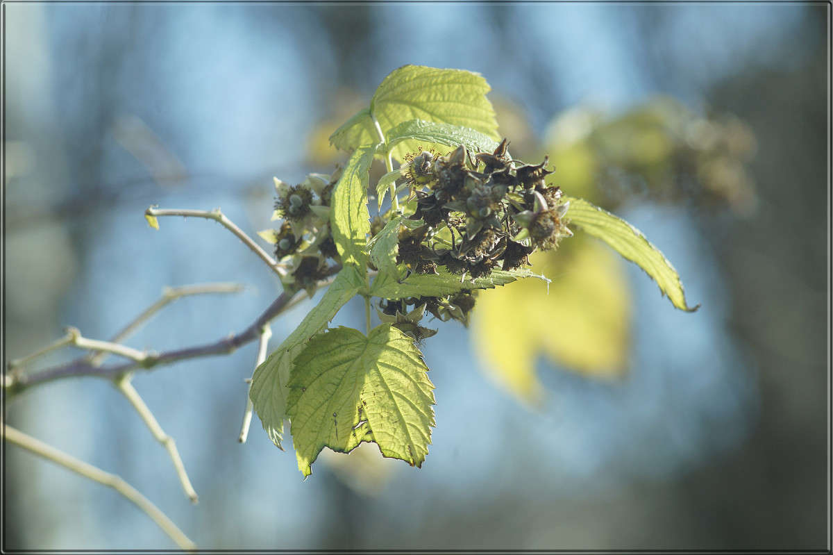 "��� ��� ����� 13" ����� ������  �� PhotoGeek.ru #������ ��� �������