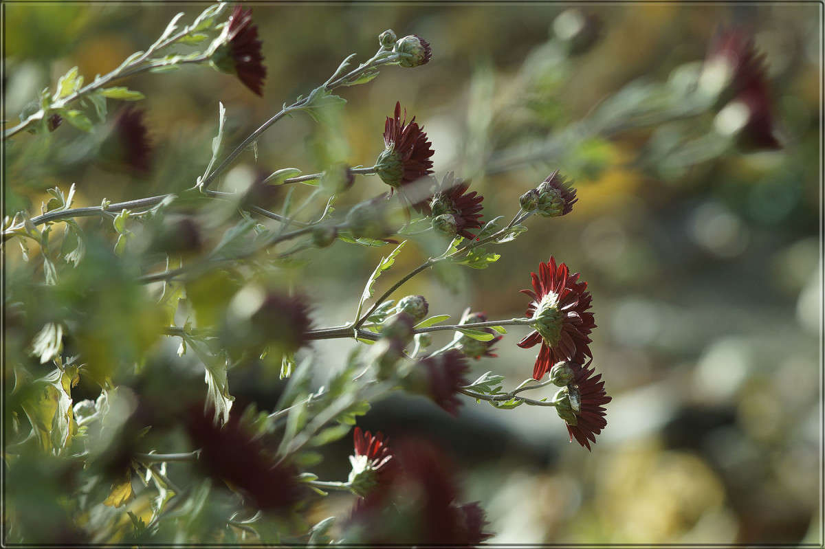 "��� ��� ����� 12" ����� ������  �� PhotoGeek.ru #������ ��� �������