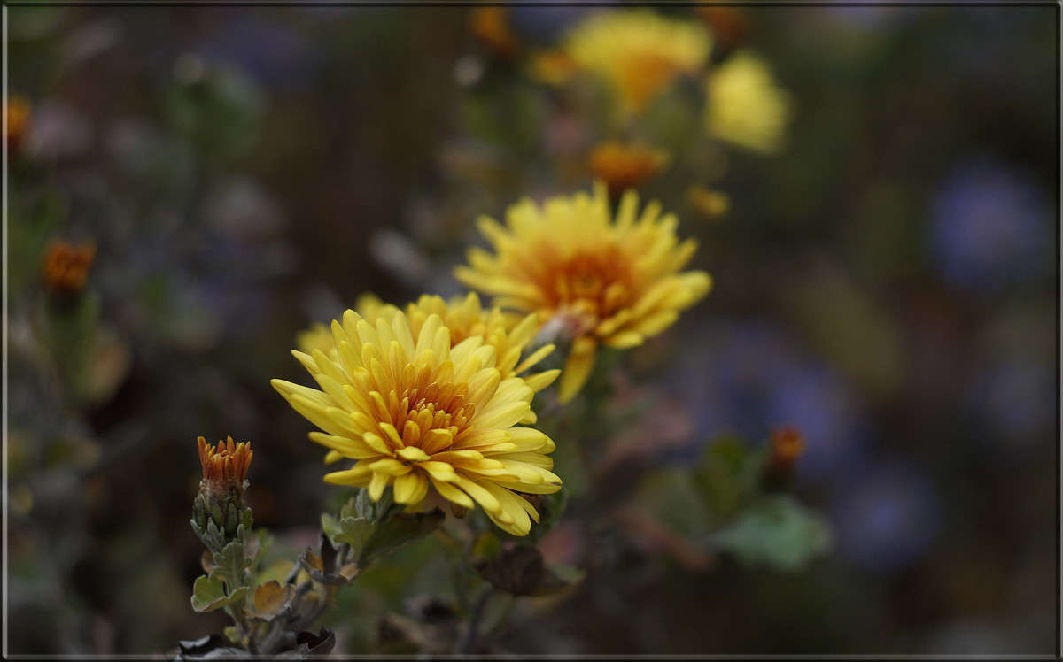 "��� ��� ����� 14 ����� ������  �� PhotoGeek.ru #������ ��� �������