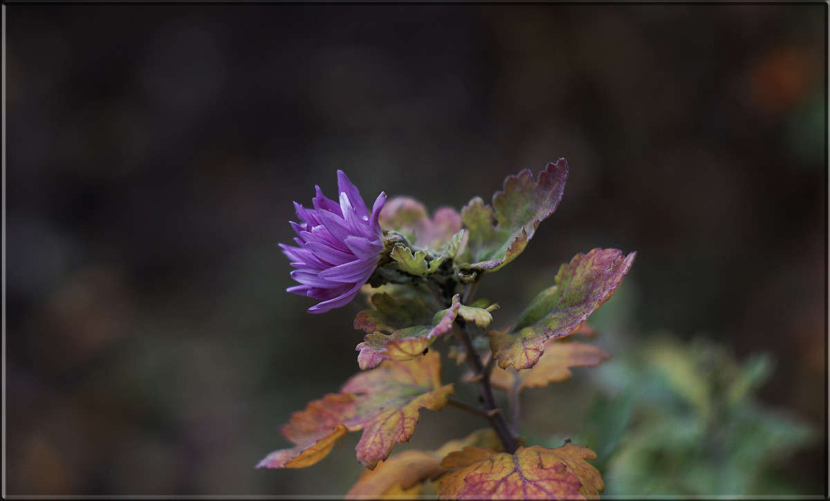 "��� ��� ����� 15 ����� ������  �� PhotoGeek.ru #������ ��� �������