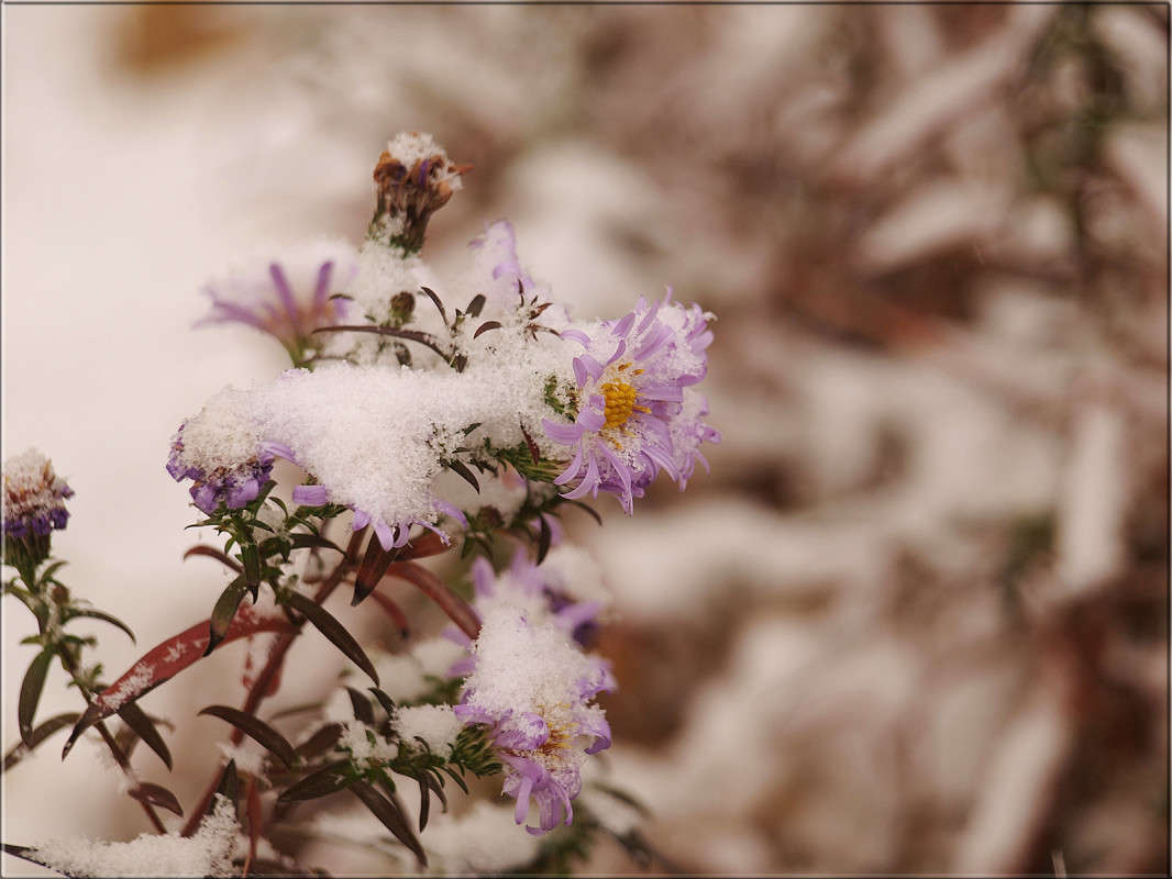 ��� ��� ����� 17 ����� ������  �� PhotoGeek.ru #������ ��� �������