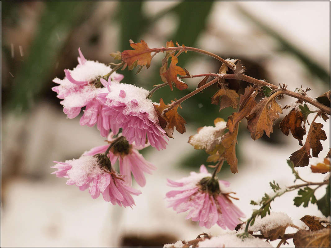 ��� ��� ����� 16 ����� ������  �� PhotoGeek.ru #������ ��� �������