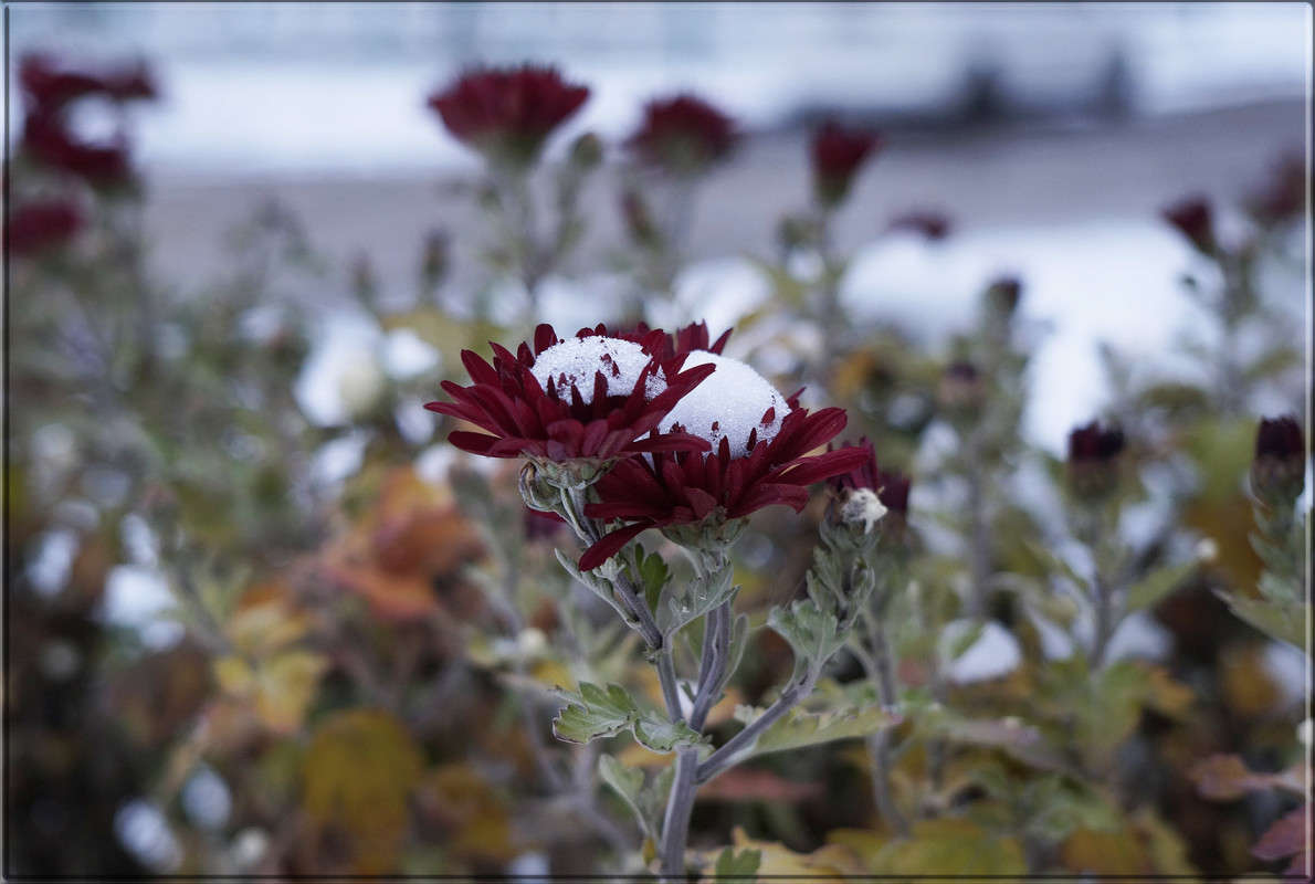 "��� ��� ����� 21" ����� ������  �� PhotoGeek.ru #������ ��� �������