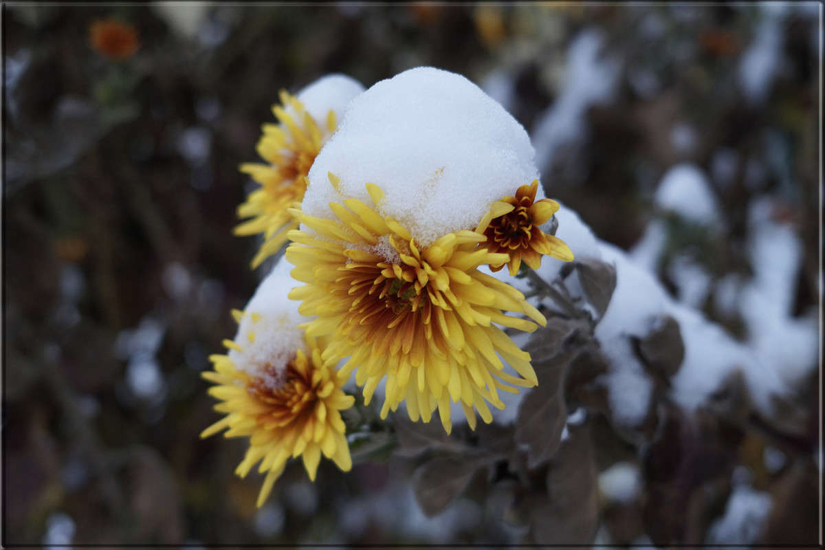 "��� ��� ����� 20" ����� ������  �� PhotoGeek.ru #������ ��� �������