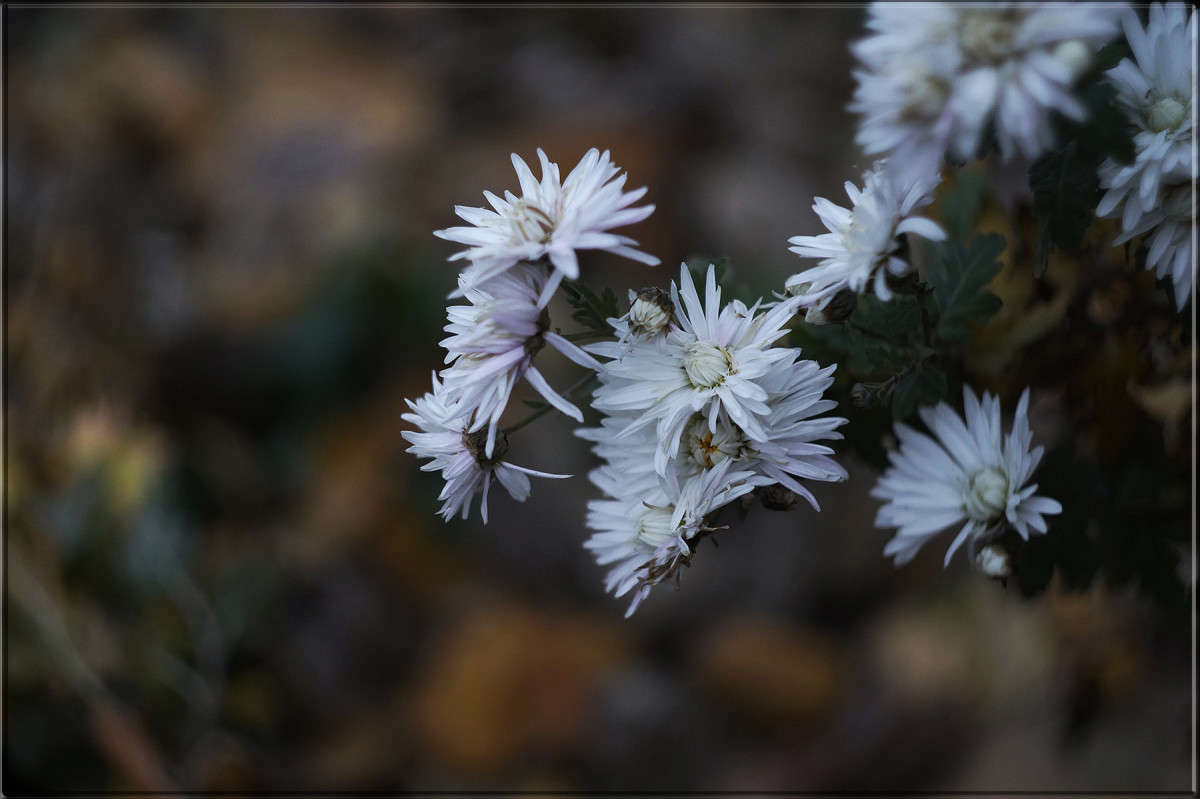 "��� ��� ����� 25" ����� ������  �� PhotoGeek.ru #������ ��� �������