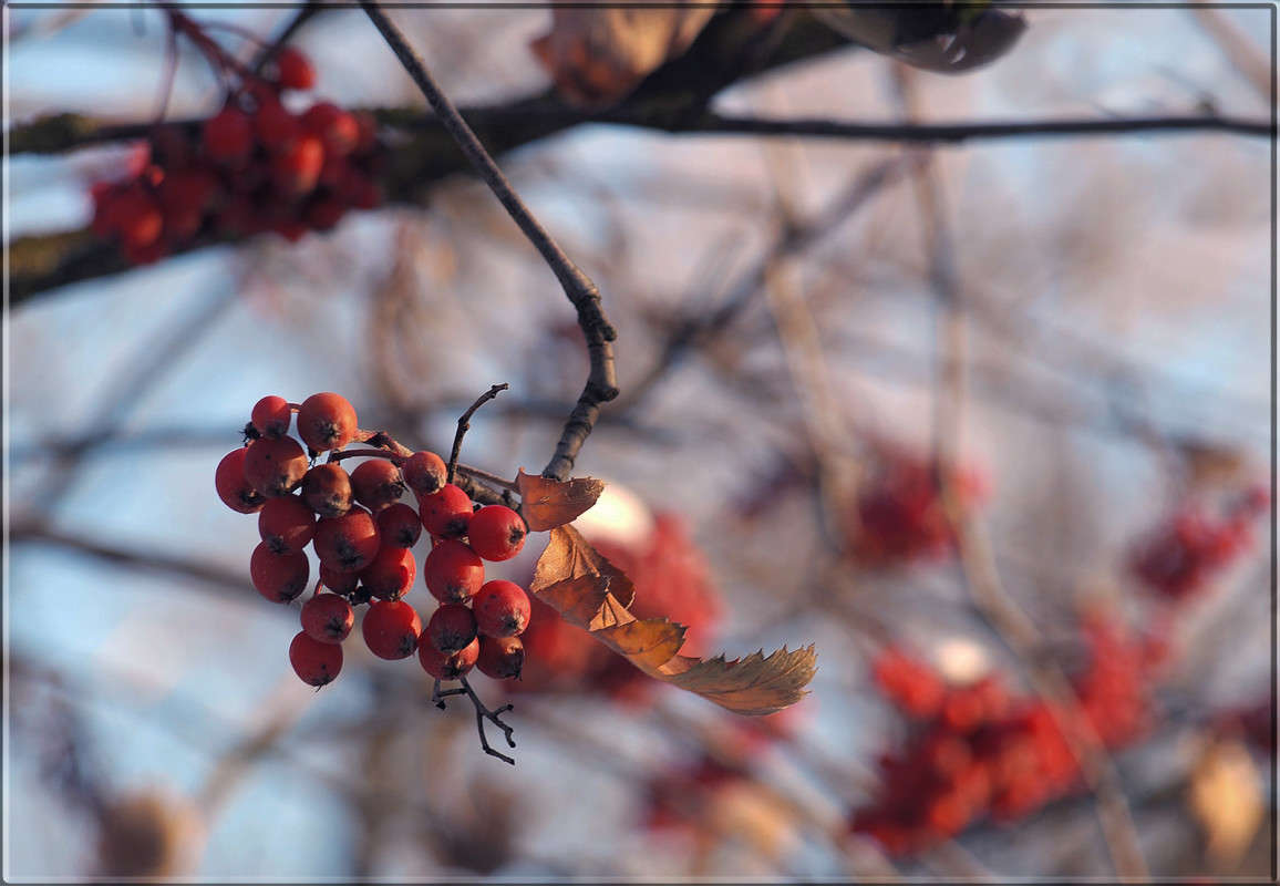 �� ����� � ����������� ����� ������  �� PhotoGeek.ru #������ ��� �������