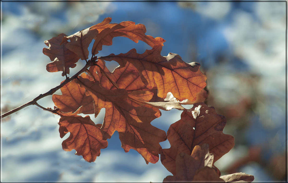 ��� ��� ����� 26 ����� ������  �� PhotoGeek.ru #������ ��� �������