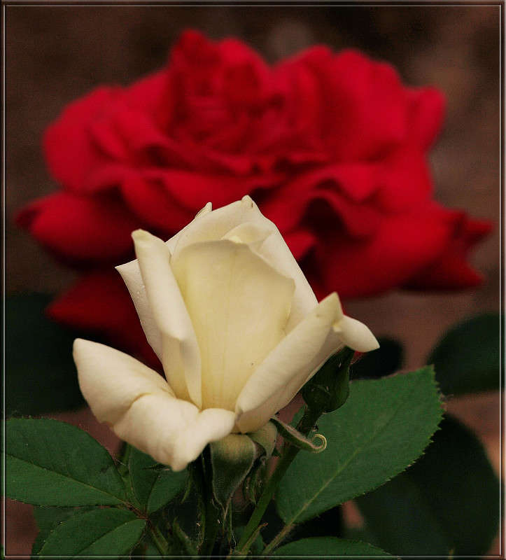 ����� � ������� ����� ������  �� PhotoGeek.ru #������ ��� �������