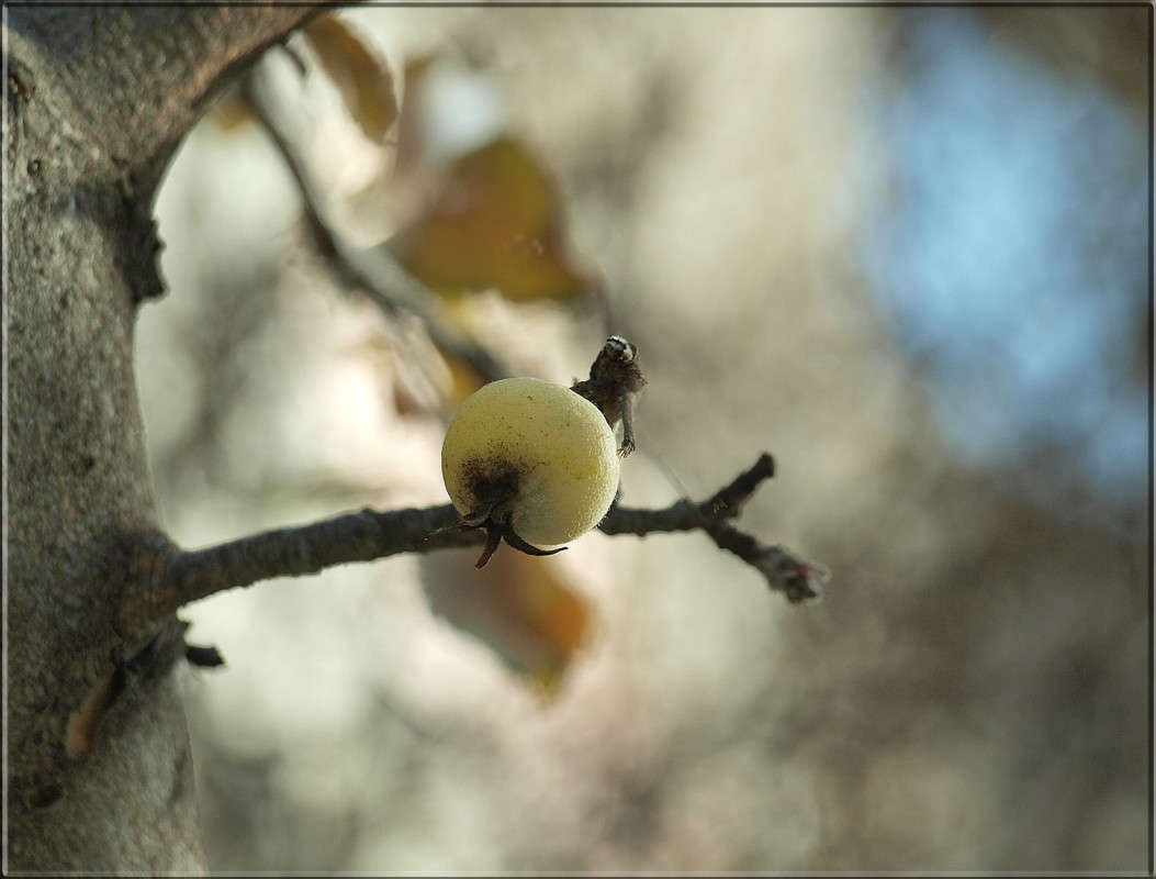 �� ��������� ����� ������  �� PhotoGeek.ru #������ ��� �������