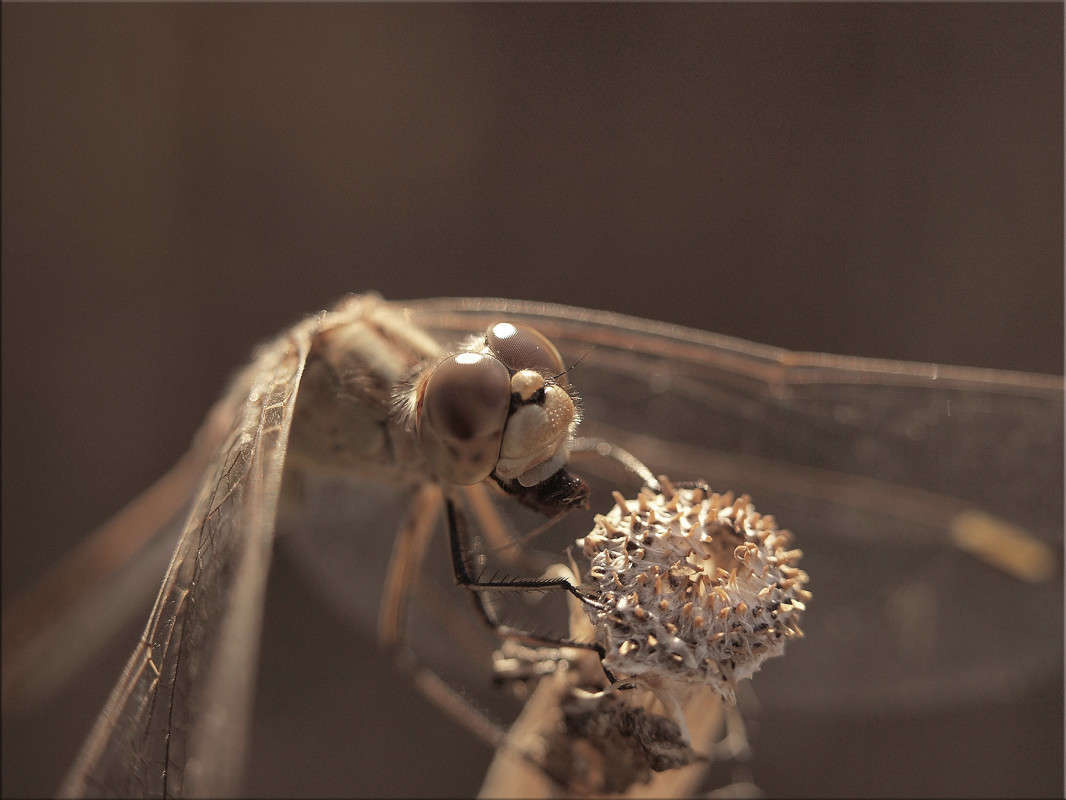 "��� ���� �����" ����� ������  �� PhotoGeek.ru #�����