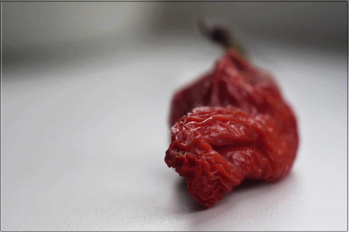 "������" ����� ������  �� PhotoGeek.ru #�����