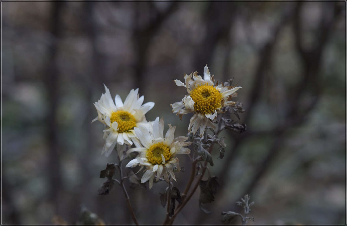 "������ � ��������" ����� ������  �� PhotoGeek.ru #������ ��� �������