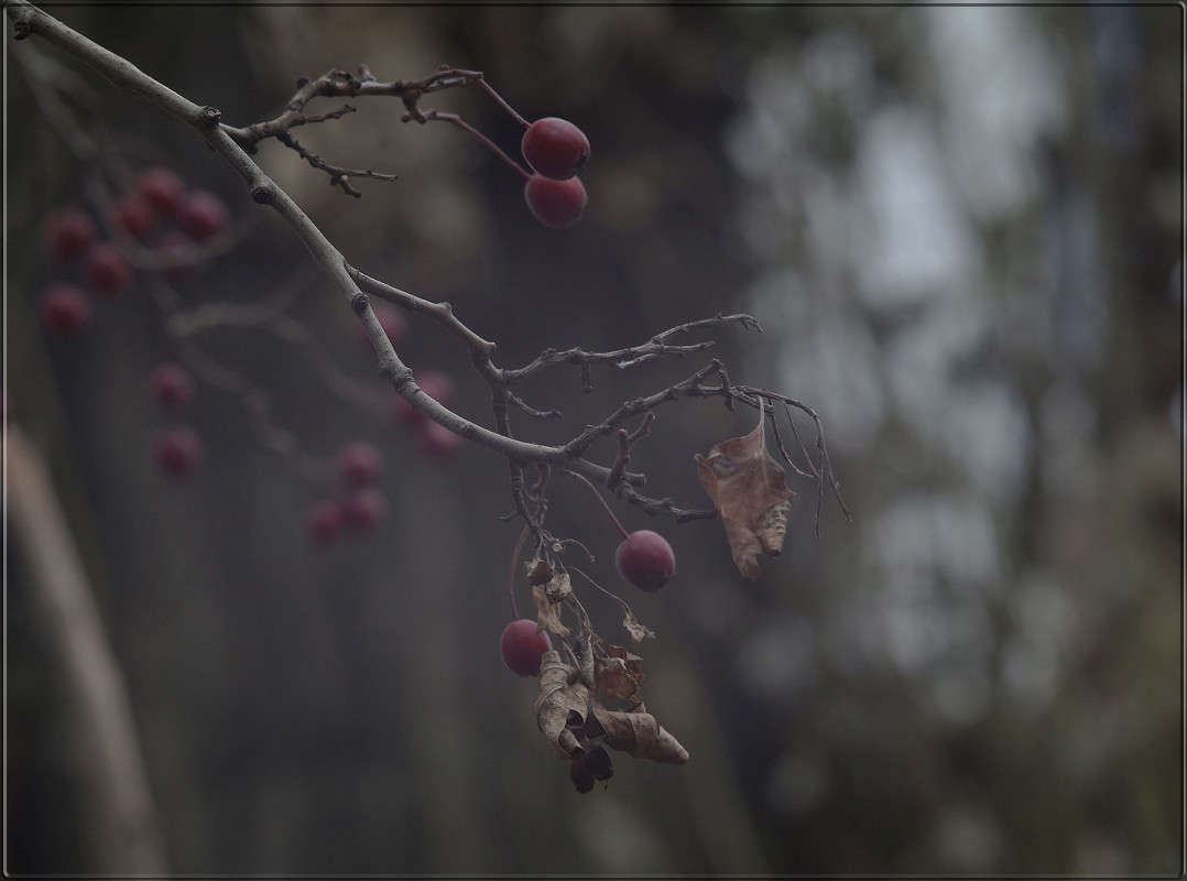 "������ � �������� 2" ����� ������  �� PhotoGeek.ru #������ ��� �������