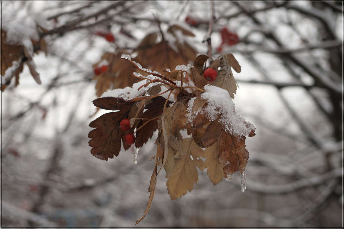 "������� ����� � ���� �����" ����� ������  �� PhotoGeek.ru #������ ��� �������