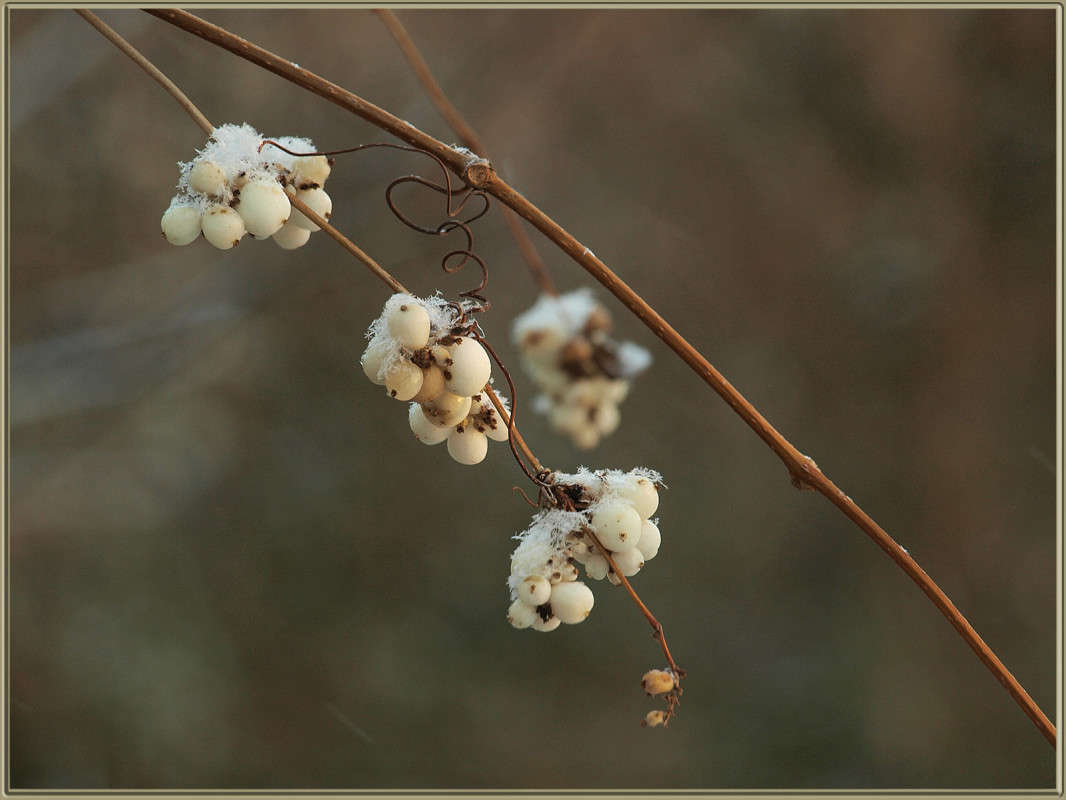 "����� ������� ������ 3" ����� ������  �� PhotoGeek.ru #������ ��� �������