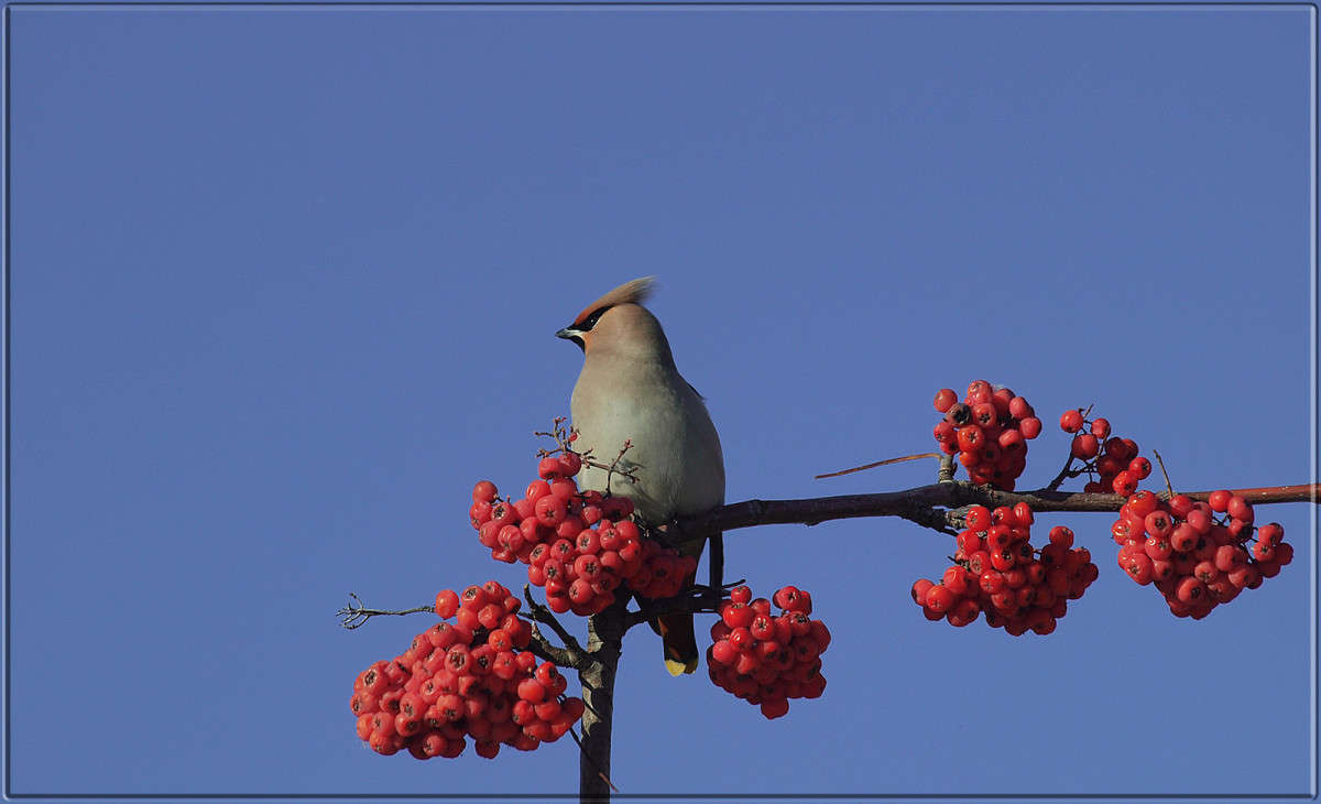 "�������" ����� ������  �� PhotoGeek.ru #�������� ���