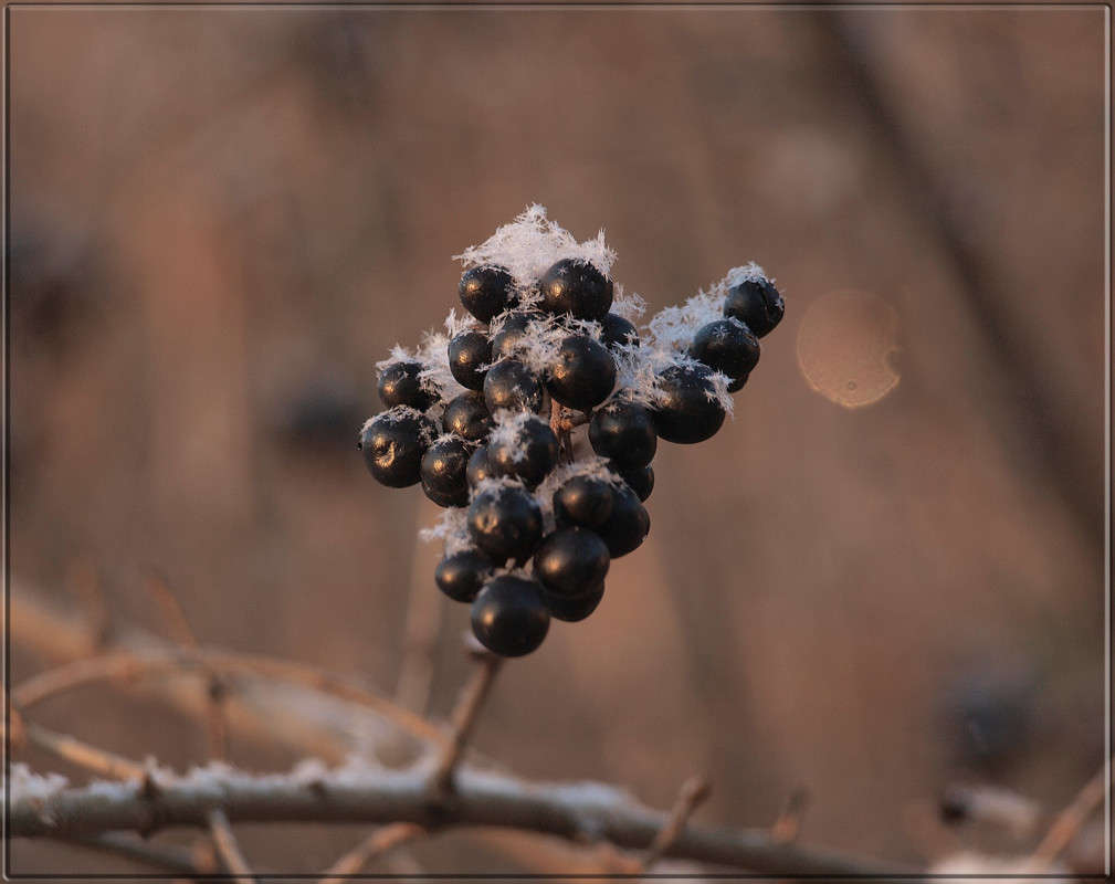 "����� ������� ������" ����� ������  �� PhotoGeek.ru #������ ��� �������